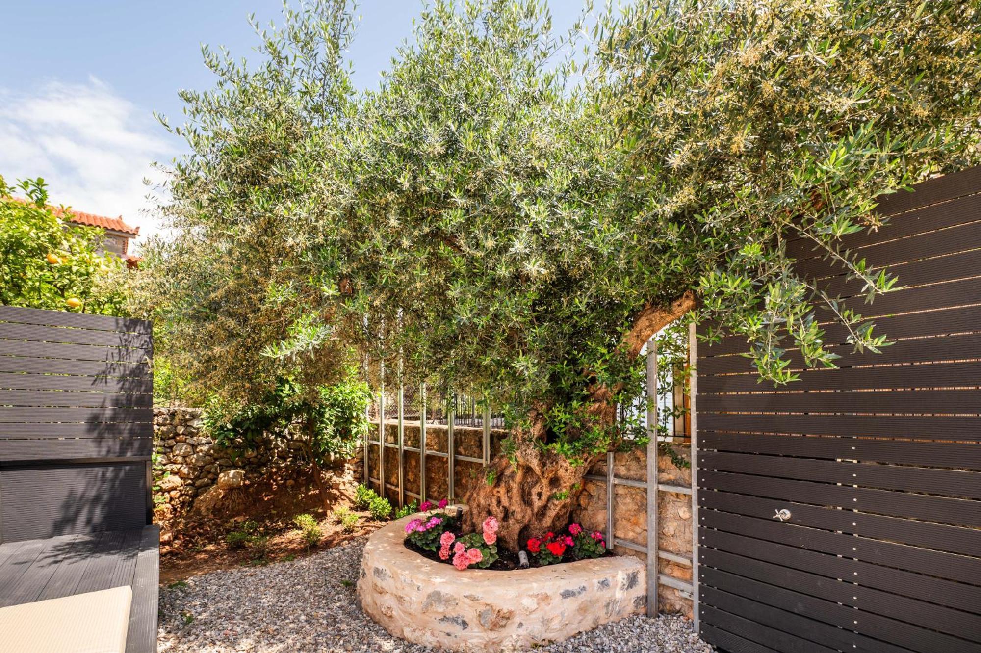 Cardamilia Apartment